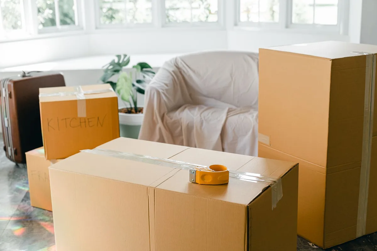 Hoarding Cleanup in Angels, CA